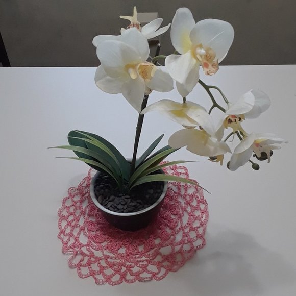 Detailed Handmade Coral Crochet Doily 10" - Picture 2 of 7